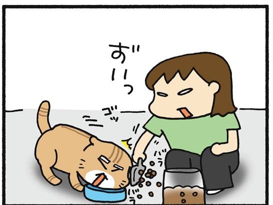 uchino3neko02_05
