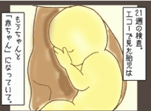 赤ちゃんの外見は新生児に近づく 妊娠6ヵ月 週 21週 22週 23週 のママが知っておきたい事 月齢別すくすく妊娠講座 すくパラ倶楽部news